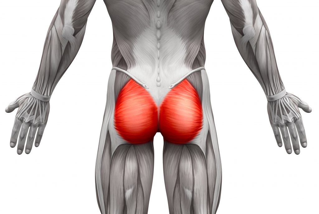 股関節を使って動作を力強くする大臀筋